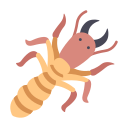 Termites
