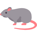 Rats